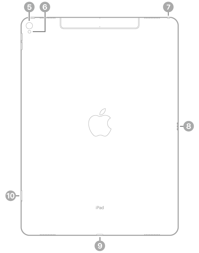 The back view of iPad Pro with callouts going clockwise from the top left: rear camera, flash, headphone jack, Smart Connector, Lightning connector, and SIM tray (Wi-Fi   Cellular).