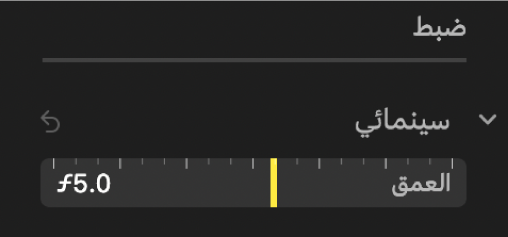عناصر التحكم في ضبط النمط السينمائي تعرض شريط تمرير العمق.