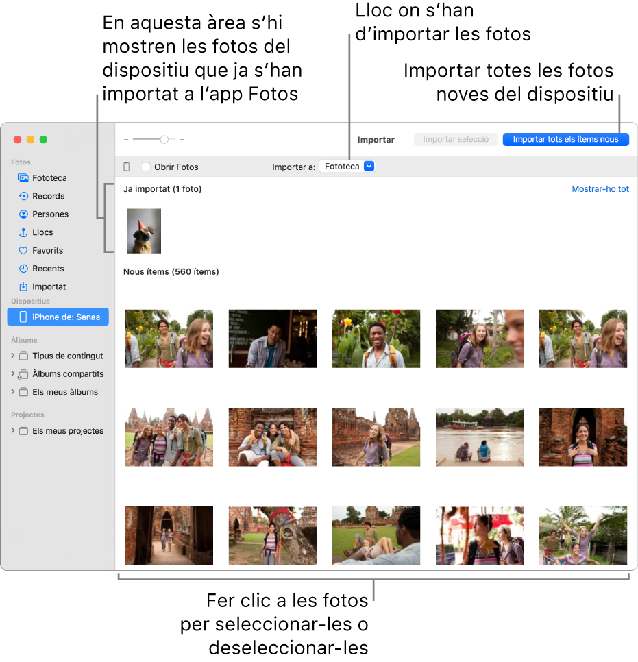 Les fotos del dispositiu que ja has importat es mostren a la part superior del tauler i les noves fotos es mostren a la part inferior. A la part superior central hi ha el menú desplegable ”Importar a”. El botó “Importar tots els ítems nous” és a la part superior dreta.