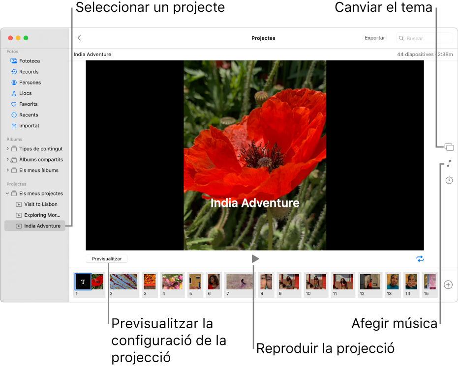 Finestra de l’app Fotos que mostra una projecció a la part principal de la finestra, amb els botons Previsualitzar, Reproduir i Bucle sota la imatge principal de la projecció, miniatures de totes les imatges de la projecció a la part inferior de la finestra i, a la dreta, els botons Tema, Música i Durada.