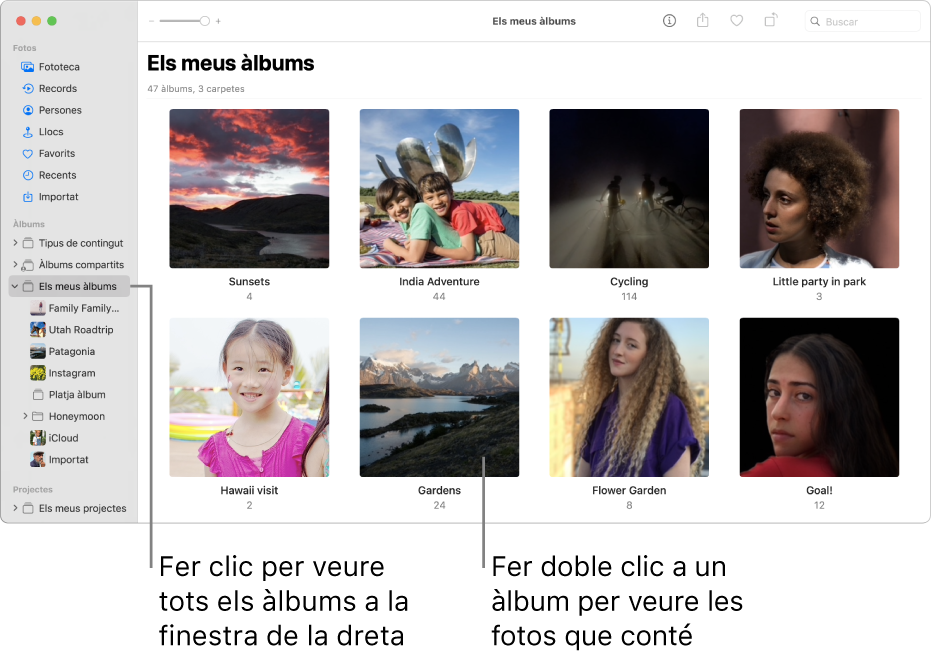 La finestra de l’app Fotos, que mostra “Els meus àlbums” seleccionat a la barra lateral i els àlbums que has creat, a la finestra a la dreta.