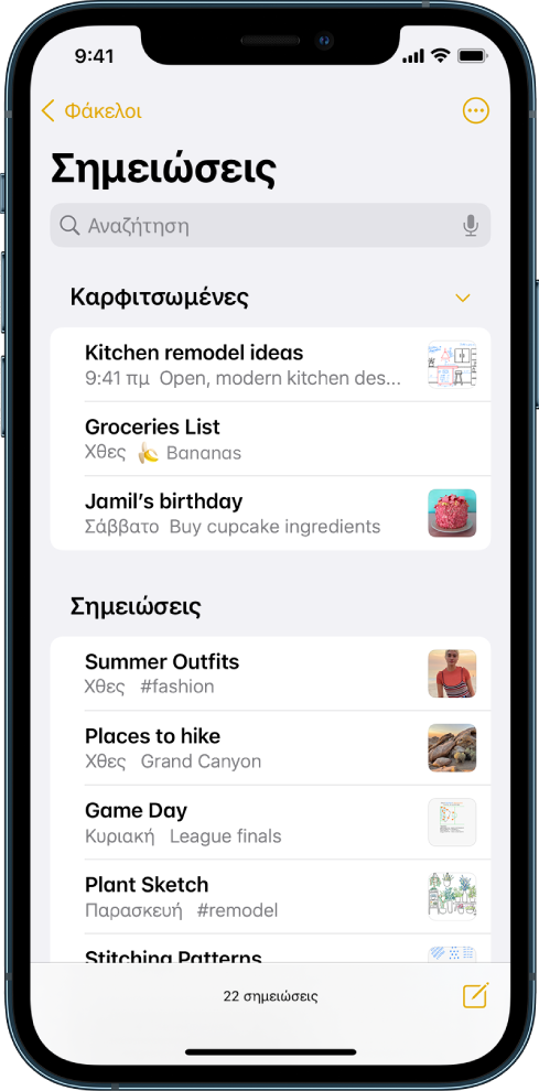 Η λίστα σημειώσεων με το πεδίο αναζήτησης στο πάνω μέρος.