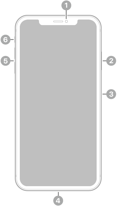 The front view of iPhone XS Max. The front camera is at the top center. On the right side, from top to bottom, are the side button and the SIM tray. The Lightning connector is on the bottom. On the left side, from bottom to top, are the volume buttons and the ring/silent switch.