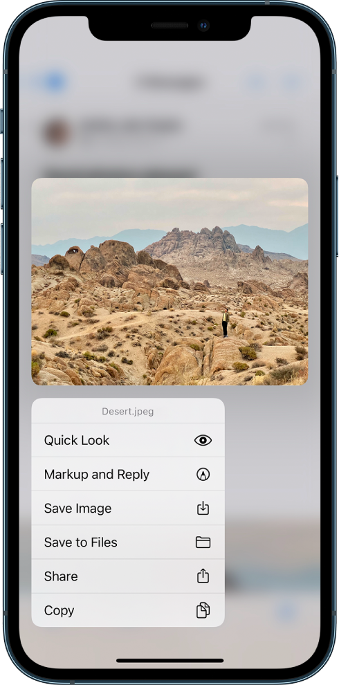 An email attachment is selected with possible actions listed. The options include Quick Look, Markup and Reply, Save Image, Save to Files, Share, and Copy.