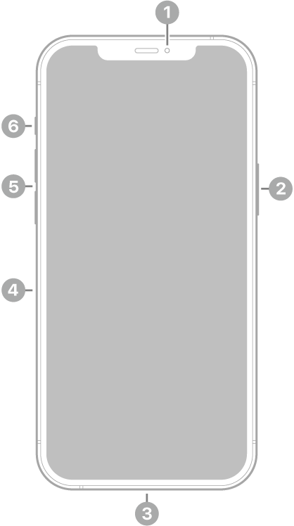 La vue de face de l’iPhone 12 Pro Max. L’appareil photo avant se trouve en haut au centre. Le bouton latéral est situé sur le côté droit. Le connecteur Lightning se trouve en bas. Sur le côté gauche, de bas en haut, se trouvent le support pour carte SIM, les boutons de volume et le bouton Sonnerie/Silence.