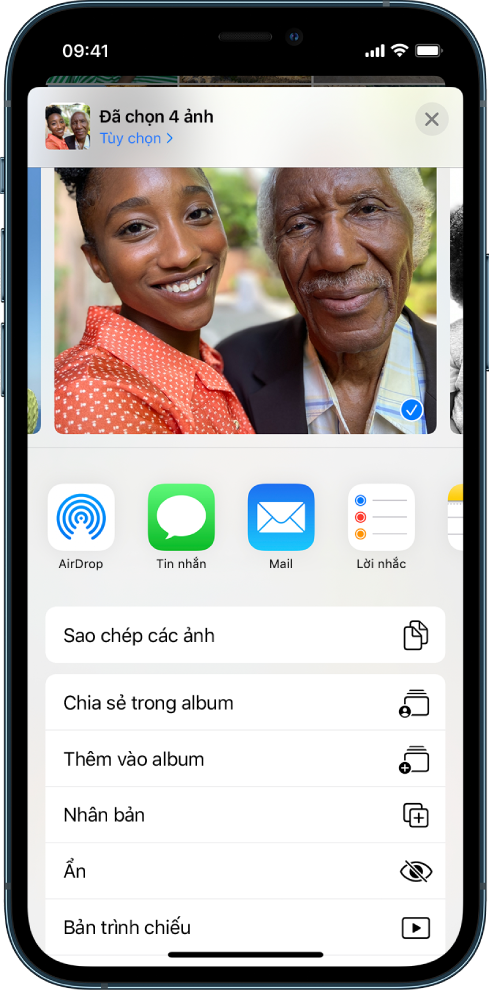 Màn hình chia sẻ của Ảnh. Ảnh được chọn nằm ở đầu màn hình. Bên dưới ảnh là các tùy chọn chia sẻ. Bên dưới các tùy chọn chia sẻ là danh sách các tác vụ, từ trên xuống dưới: Sao chép ảnh, Thêm vào album được chia sẻ, Thêm vào album, Nhân bản, Ẩn và Trình chiếu.