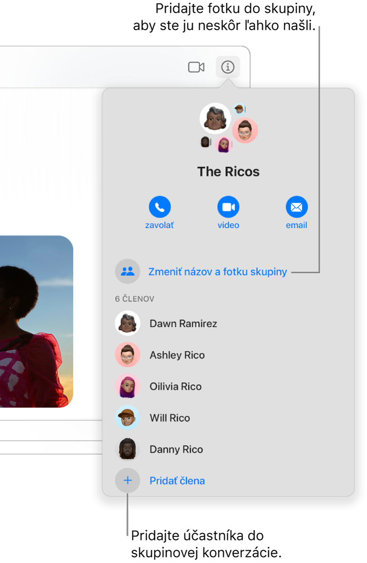Zobrazenie Detaily, ktoré sa zobrazí po kliknutí na tlačidlo Detaily v skupinovej konverzácii. Po posledným účastníkom v zozname sa zobrazí tlačidlo Pridať člena. Názov a fotku skupiny môžete zmeniť priamo nad menami účastníkov.