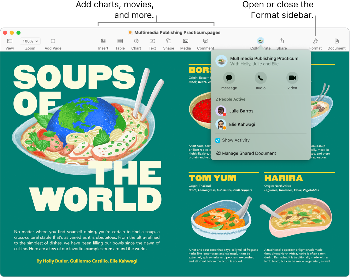 A Pages window showing the Activity Stream under the Collaborate button in the toolbar, with two people active. There are callouts to add charts, movies, and more in the toolbar, and a callout to Open or close the Format sidebar.