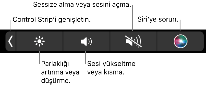 Daraltılmış Control Strip soldan sağa doğru, Control Strip’i genişletme, ekran parlaklığını ve ses yüksekliğini artırma veya azaltma, sesi kapatma veya açma ve Siri’yi kullanma düğmelerini içeriyor.