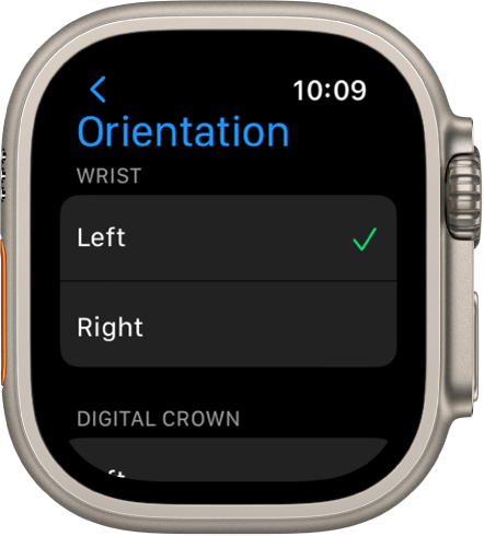 The Orientation screen on Apple Watch. You can set your wrist and Digital Crown preference.