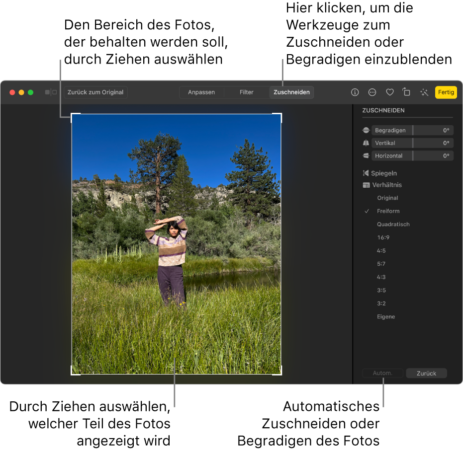 Ein Foto in der Bearbeitungsansicht mit dem ausgewählten Werkzeug „Zuschneiden“ in der Symbolleiste, einem Auswahlrahmen um das Foto, Bearbeitungsreglern, Optionen für Seitenverhältnisse und die Tasten „Autom.“ und „Zurücksetzen“ rechts.