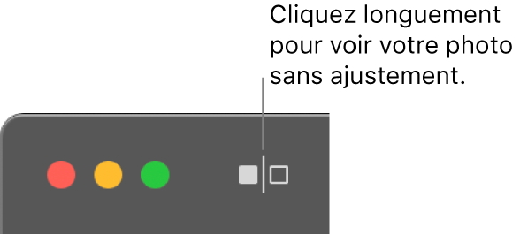 Le bouton Sans ajustement, à côté des commandes de la fenêtre dans le coin supérieur gauche de la fenêtre.