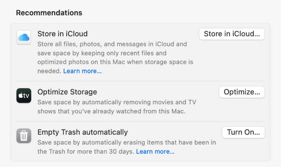 The Recommendations section in Storage settings, with options including Store in iCloud, Empty Bin automatically and Optimise Storage.