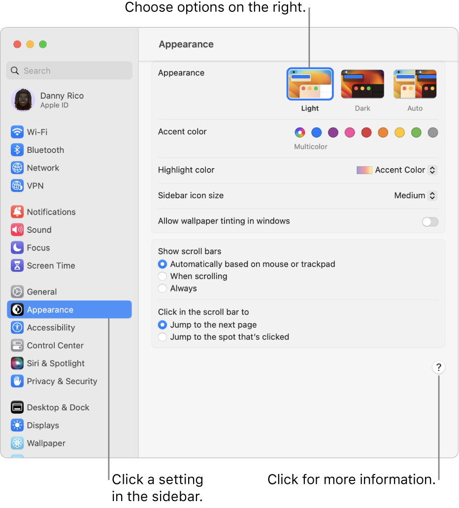 The System Settings window, with Appearance settings selected in the sidebar, and Appearance options on the right.