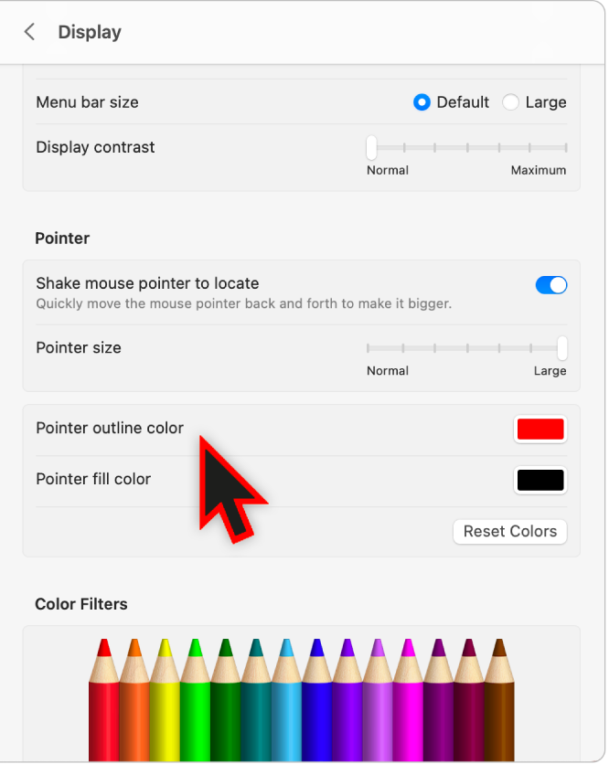 Accessibility Display settings showing a large pointer with a custom outline color.