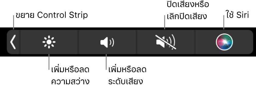 Control Strip ที่ยุบอยู่จะมีปุ่มต่างๆ เรียงจากซ้ายไปขวาดังนี้ ปุ่มสำหรับขยาย Control Strip, ปุ่มสำหรับเพิ่มหรือลดความสว่างจอภาพและระดับเสียง, ปุ่มสำหรับปิดเสียงหรือเลิกปิดเสียง และปุ่มใช้ Siri