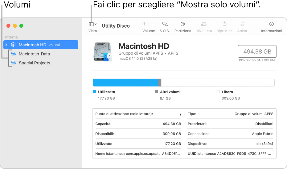 Una finestra di Utility Disco nella vista “Mostra solo volumi”.