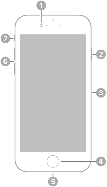 The front view of iPhone SE (3rd generation). The front camera is at the top, to the left of the speaker. On the right side, from top to bottom, are the side button and the SIM tray. The Home button is at the bottom center. The Lightning connector is on the bottom edge. On the left side, from bottom to top, are the volume buttons and the ring/silent switch.