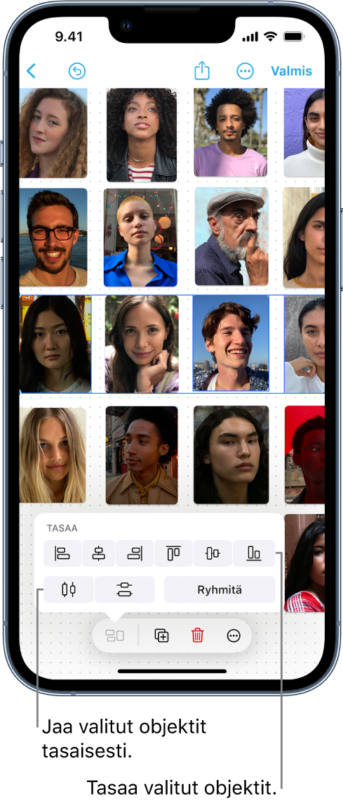 Freeform-taulussa on ruudukkona kuvia. Yksi kuvarivi on valittuna, ja tasaus- ja ryhmitystyökalut ovat näkyvillä.