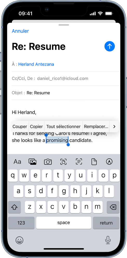 Un exemple d’e-mail avec une partie du texte sélectionné. Au-dessus de la sélection se trouvent les boutons Couper, Copier, Coller et Remplacer. Le texte sélectionné est mis en évidence, avec des poignées de chaque côté.