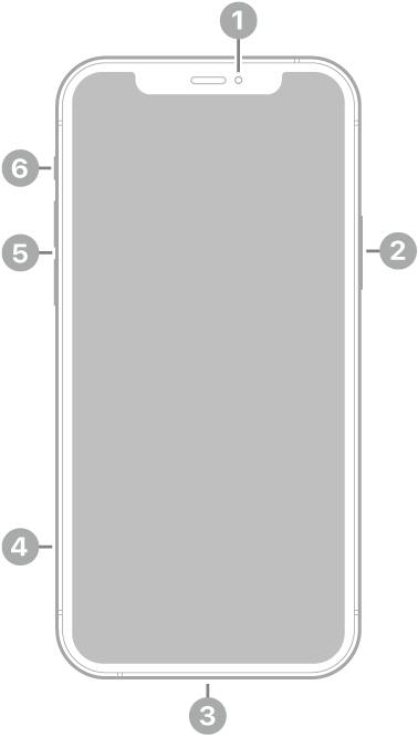 Skats uz iPhone 12 Pro priekšpusi. Priekšējā kamera atrodas augšā pa vidu. Sānu poga atrodas labajā sānā. Lightning savienotājs atrodas apakšā. Kreisajā pusē no apakšas uz augšu ir SIM kartes turētājs, skaļuma pogas un zvana/klusuma slēdzis.