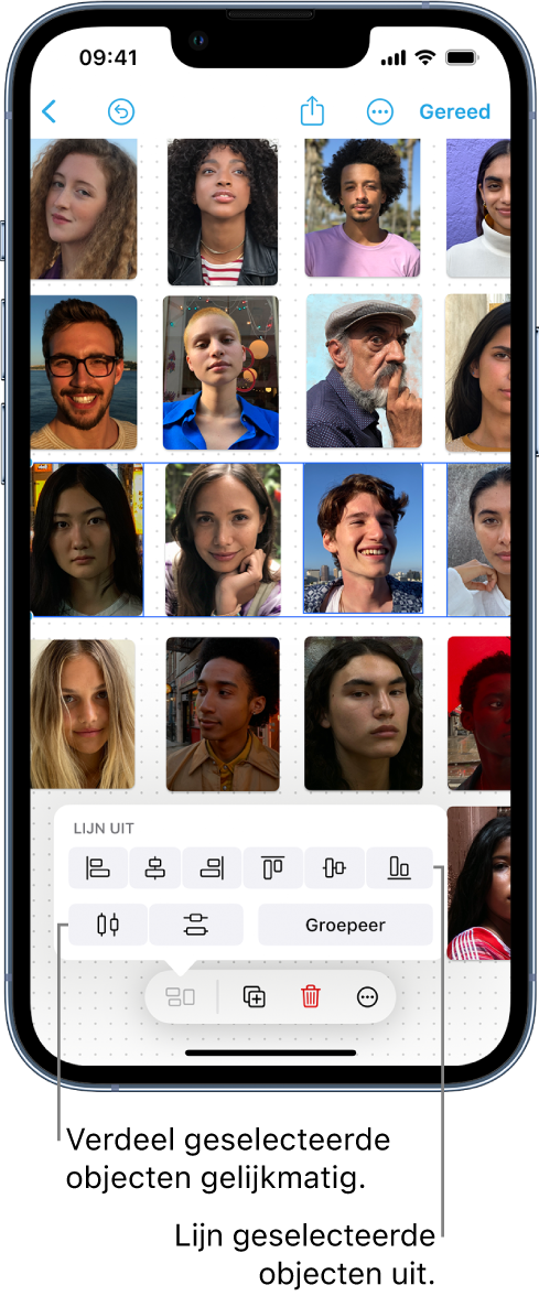 Een Freeform-bord met foto's in een raster. Eén rij foto's is geselecteerd en het uitlijn- en groepeergereedschap is te zien.