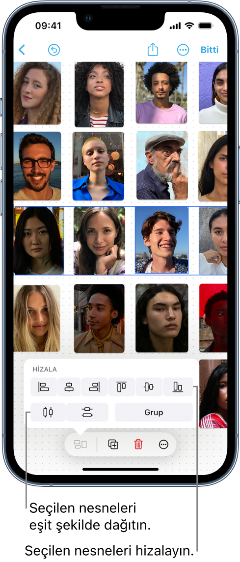 Izgara şeklinde fotoğraflarla dolu bir Freeform panosu. Bir fotoğraf satırı seçili, hizalama ve gruplama araçları görünüyor.