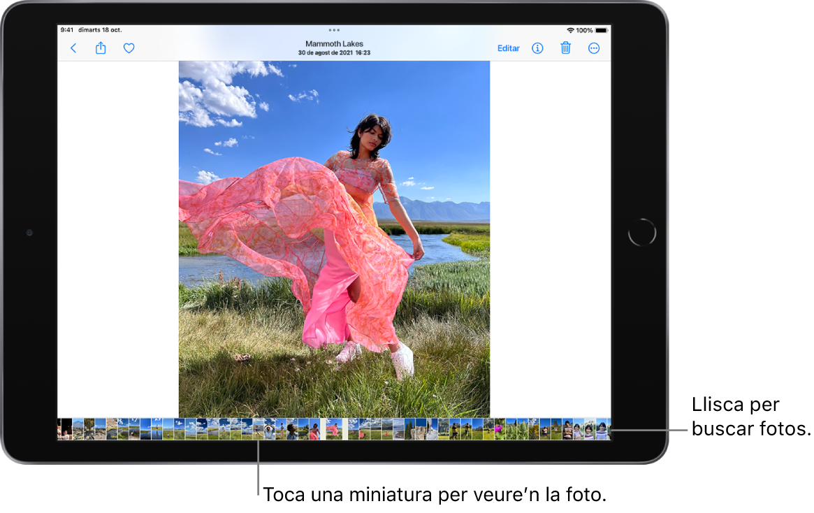 Foto a pantalla completa amb miniatures d’altres fotos de la fototeca al llarg de la part inferior de la pantalla. A la part superior esquerra hi ha el botó Enrere; al llarg de la part superior dreta hi ha els botons Compartir, Favorit, Informació, Eliminar i Editar.