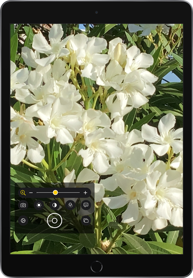 Pantalla de la lupa que mostra un primer pla d’unes flors.