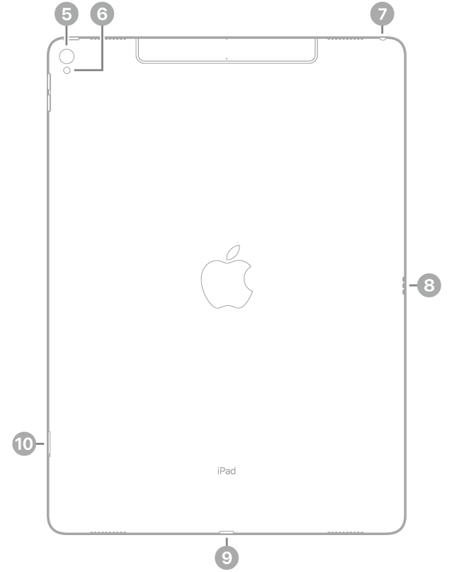 Revers de l’iPad Pro amb crides a la càmera posterior i al flaix a la part superior esquerra, al connector d’auriculars a la part superior dreta, a l’Smart Connector a la dreta, al connector Lightning a la part inferior central i a la safata de la SIM (Wi-Fi   Cellular) a la part inferior esquerra.