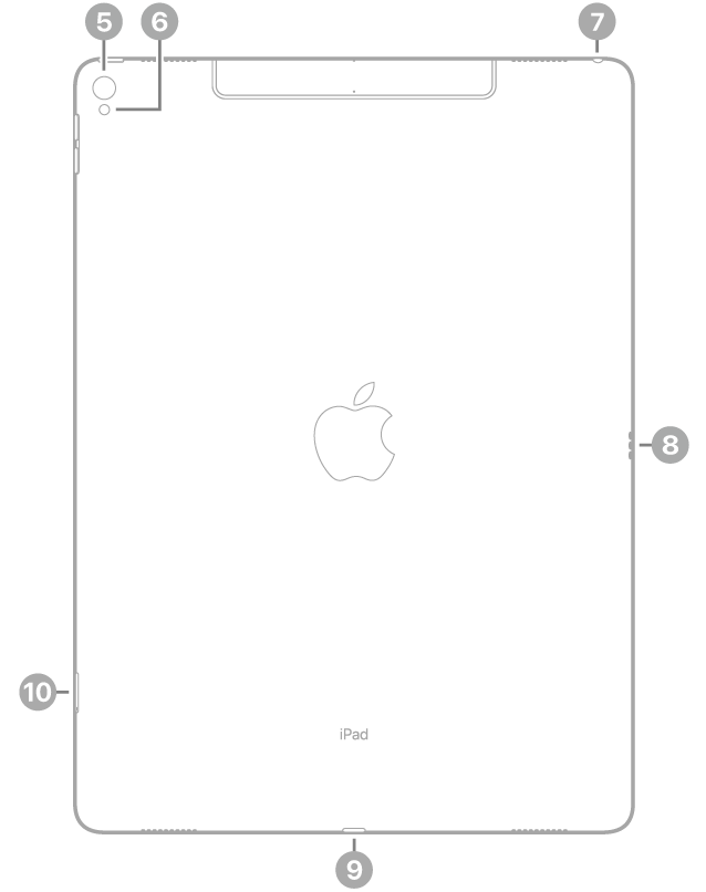 Vista posteriore di iPad Pro con didascalie relative alla fotocamera posteriore e al flash, in alto a destra, lo Smart Connector a destra, il connettore Lightning in basso, al centro, e il vano della SIM (Wi-Fi   Cellular), in basso a sinistra.