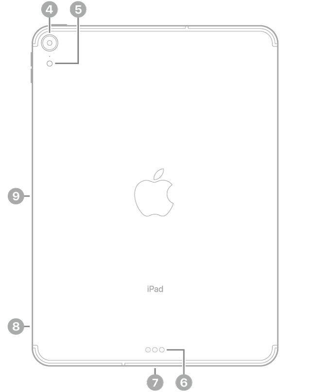 มุมมองด้านหลังของ iPad Pro พร้อมกับคำบรรยายกล้องด้านหลังและแฟลชที่ด้านซ้ายบนสุด Smart Connector และช่องต่อ USB-C ที่กึ่งกลางด้านล่างสุด ถาดซิม (Wi-Fi   Cellular) ที่ด้านซ้ายล่างสุด และตัวเชื่อมต่อแบบแม่เหล็กสำหรับ Apple Pencil ทางด้านซ้าย