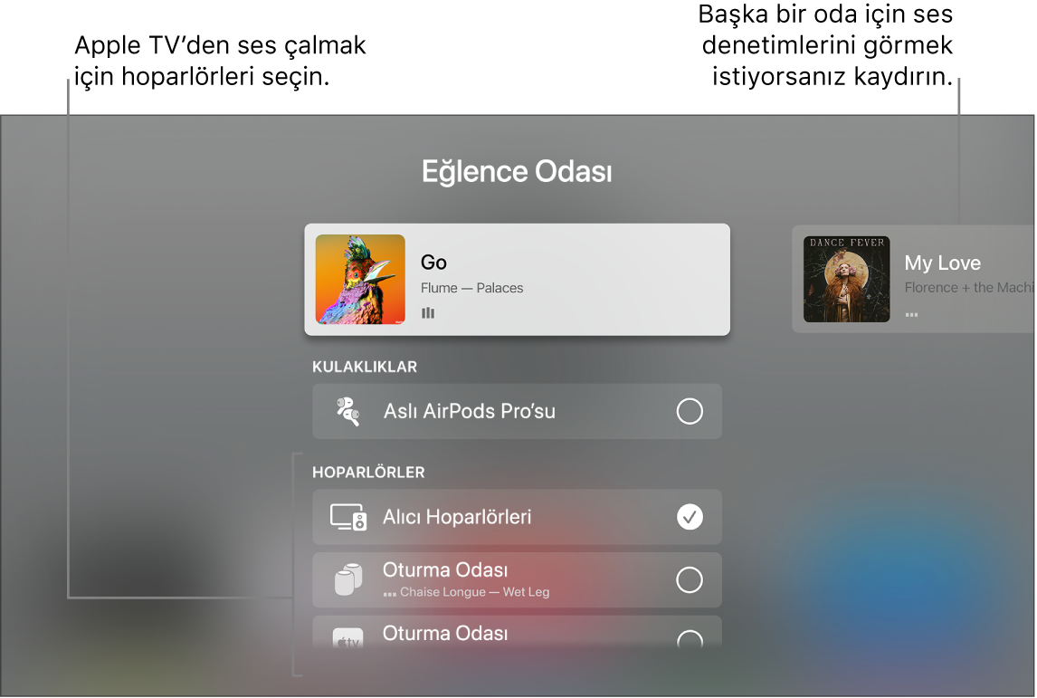 Denetim Merkezi ses denetimlerini gösteren Apple TV ekranı