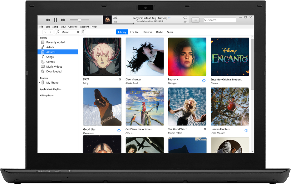 The iTunes window with a library of multiple albums.