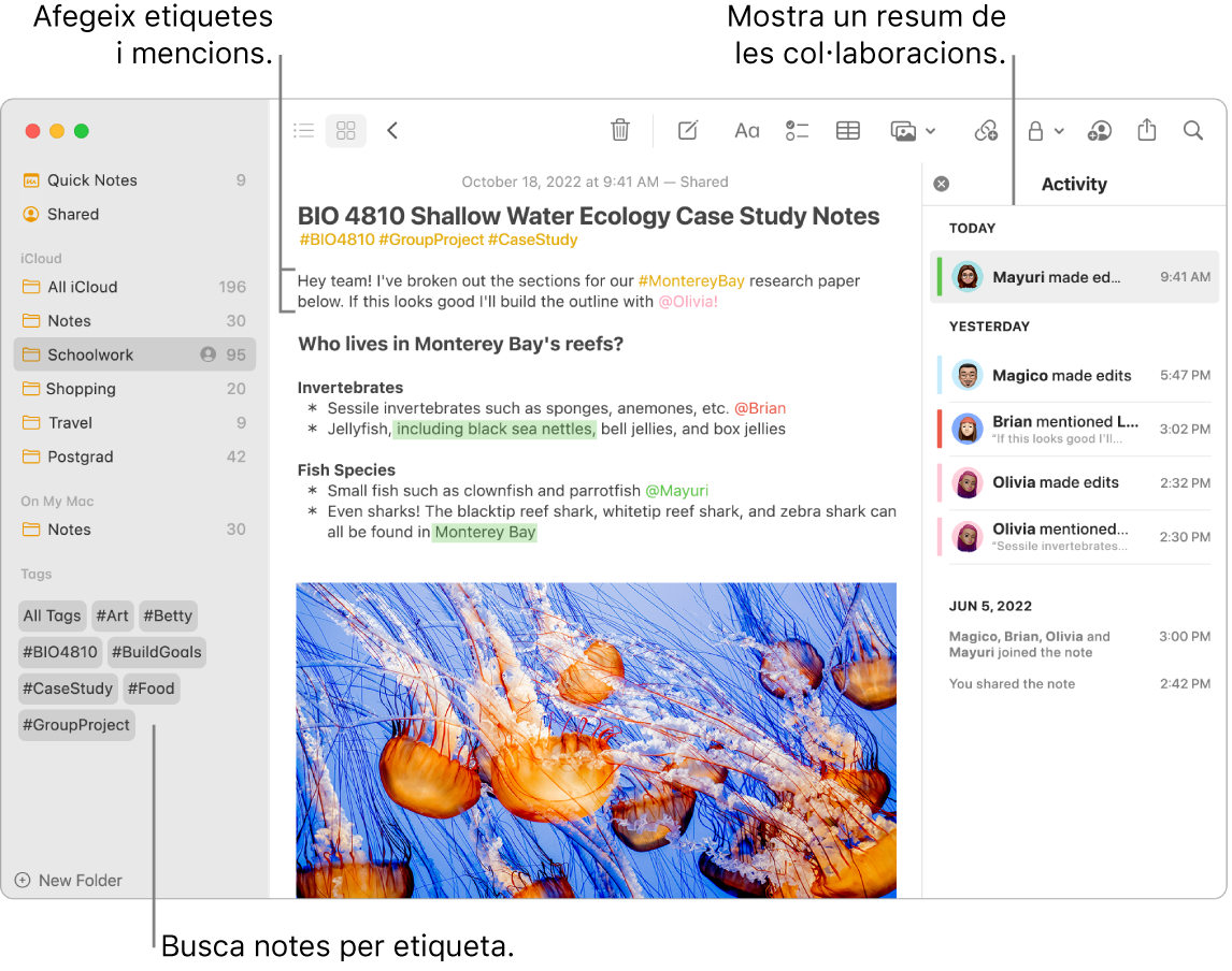 Una finestra de l’app Notes en visualització en galeria amb una llegenda de les etiquetes de la barra lateral. A la nota principal hi ha la llegenda d’una etiqueta i una menció. A la dreta hi ha una llista d’activitat amb una llegenda que mostra un resum de les actualitzacions.