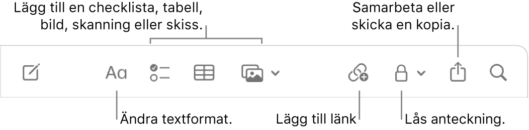 Verktygsfältet i Anteckningar med streck till verktygen för textformat, checklista, tabell, länk, bilder/medier, lås, delning och skicka en kopia.