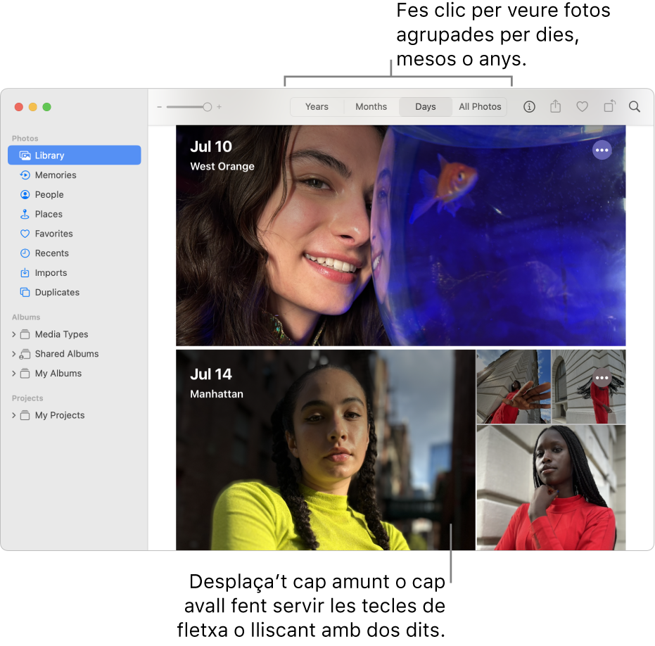 La finestra de l’app Fotos que mostra la vista “Dies” seleccionada a la barra d’eines i les fotos organitzades per data a la secció principal de la finestra.