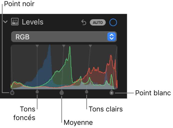 Les commandes de niveaux dans la sous-fenêtre Ajuster, montrant l’histogramme RVB au-dessus de poignées, notamment (de gauche à droite) point noir, ombres, tons intermédiaires, tons clairs et point blanc.