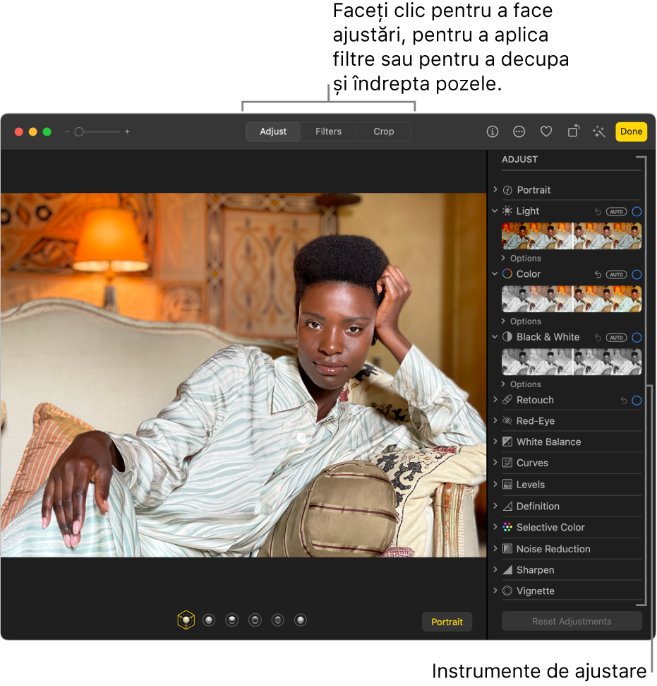 O poză în vizualizarea de editare, cu butonul Ajustare selectat în bara de instrumente și instrumentele de ajustare în dreapta.