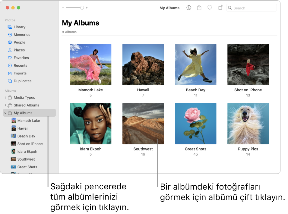 Kenar çubuğunda Albümlerim’in seçili olduğu ve sağda albümlerin gösterildiği Fotoğraflar penceresi.