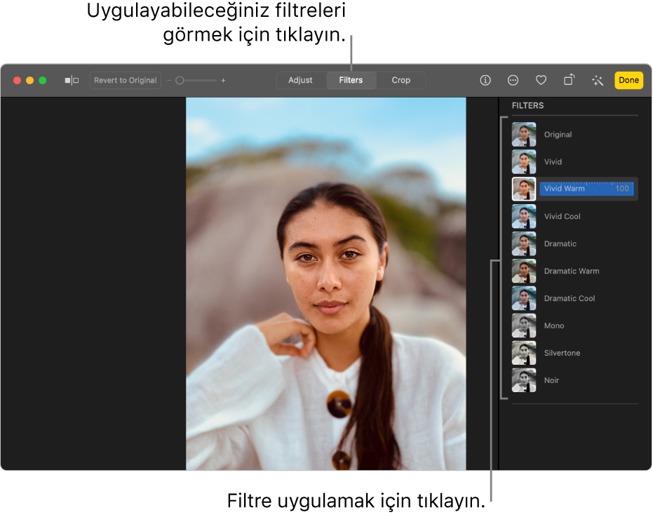 Araç çubuğunda Filtreler seçili ve sağda filtre seçenekleri ile düzenleme görüntüsündeki fotoğraf.