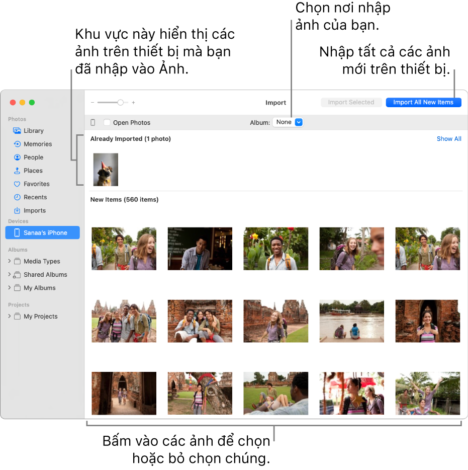 Ảnh trên thiết bị mà bạn đã nhập được hiển thị ở đầu cửa sổ Nhập; ảnh mới nằm ở dưới cùng. Ở chính giữa trên cùng là menu bật lên Album. Nút Nhập tất cả mục mới nằm ở phía trên cùng bên phải.