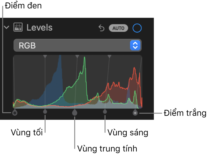 Các điều khiển Mức trong khung Điều chỉnh, đang hiển thị biểu đồ RGB với các bộ điều khiển bên dưới, bao gồm (từ trái sang phải) điểm đen, vùng tối, vùng trung tính, vùng sáng và điểm trắng.