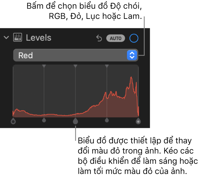 Các điều khiển Mức trong khung Điều chỉnh, đang hiển thị biểu đồ Đỏ với các bộ điều khiển bên dưới để điều chỉnh các mức đỏ của ảnh.