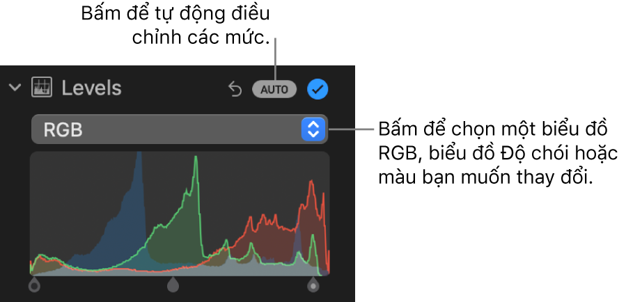 Các điều khiển Mức trong khung Điều chỉnh, với nút Tự động ở trên cùng bên phải và biểu đồ RGB bên dưới.