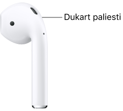 „AirPods“ (1 ir 2 kartos) kojelės viršuje esanti vieta, kurią galima paliesti dukart.