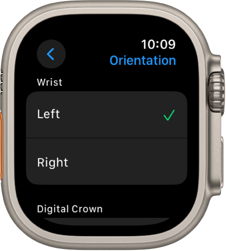 The Orientation screen on Apple Watch. You can set your wrist and Digital Crown preference.