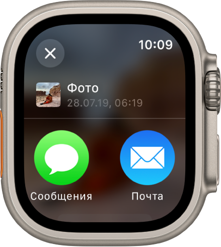 Экран «Поделиться» в приложении «Фото». Отправленное фото расположено в верхней части экрана, ниже показаны кнопки «Сообщения» и «Почта».