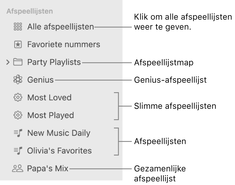 In de navigatiekolom van Muziek zie je de diverse typen afspeellijsten: Favoriete nummers, Genius, slimme afspeellijsten en andere afspeellijsten. Klik op 'Alle afspeellijsten' om ze allemaal te bekijken.