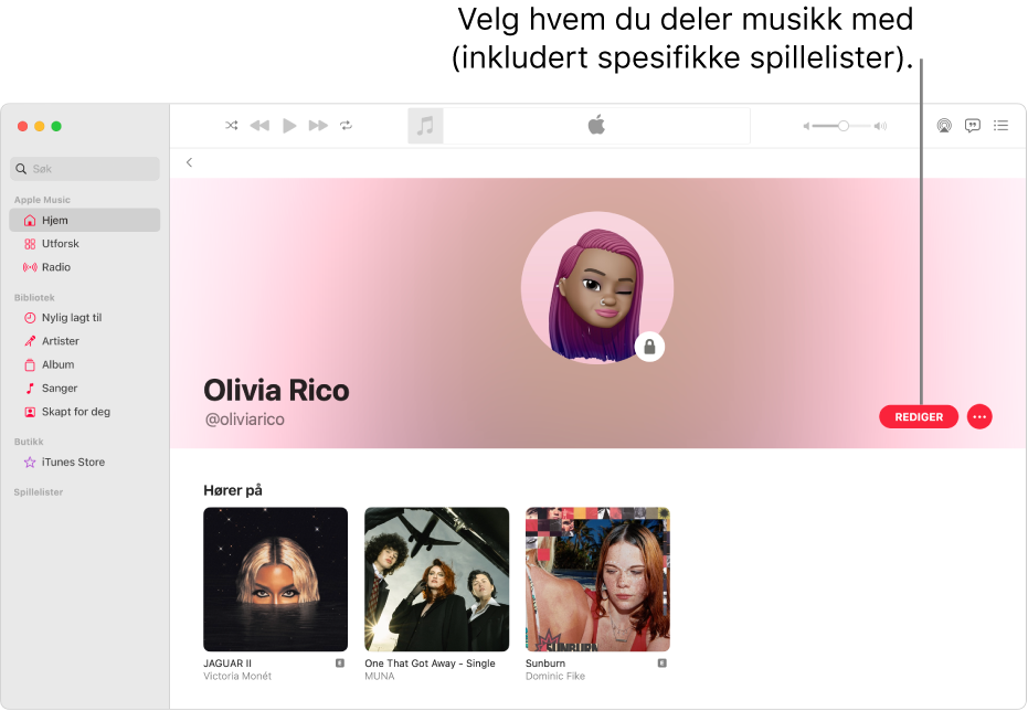 Profilsiden i Apple Music: Klikk på Rediger på høyre side i vinduet for å angi hvem som kan følge deg. Klikk på Mer-knappen til høyre for Rediger for å dele musikk.